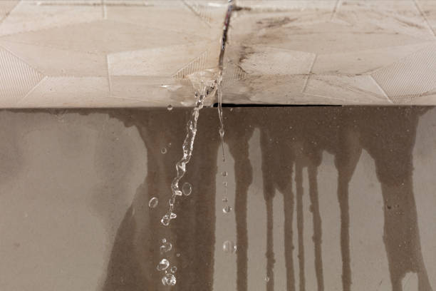 Professional Structural Drying technician working in Bartlett, TX